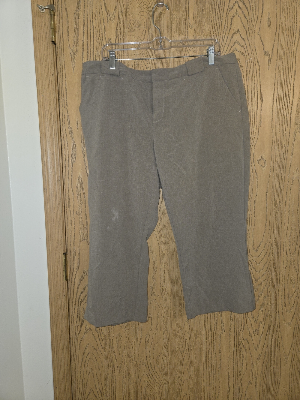 Daisy Fuentes Taupe Capris